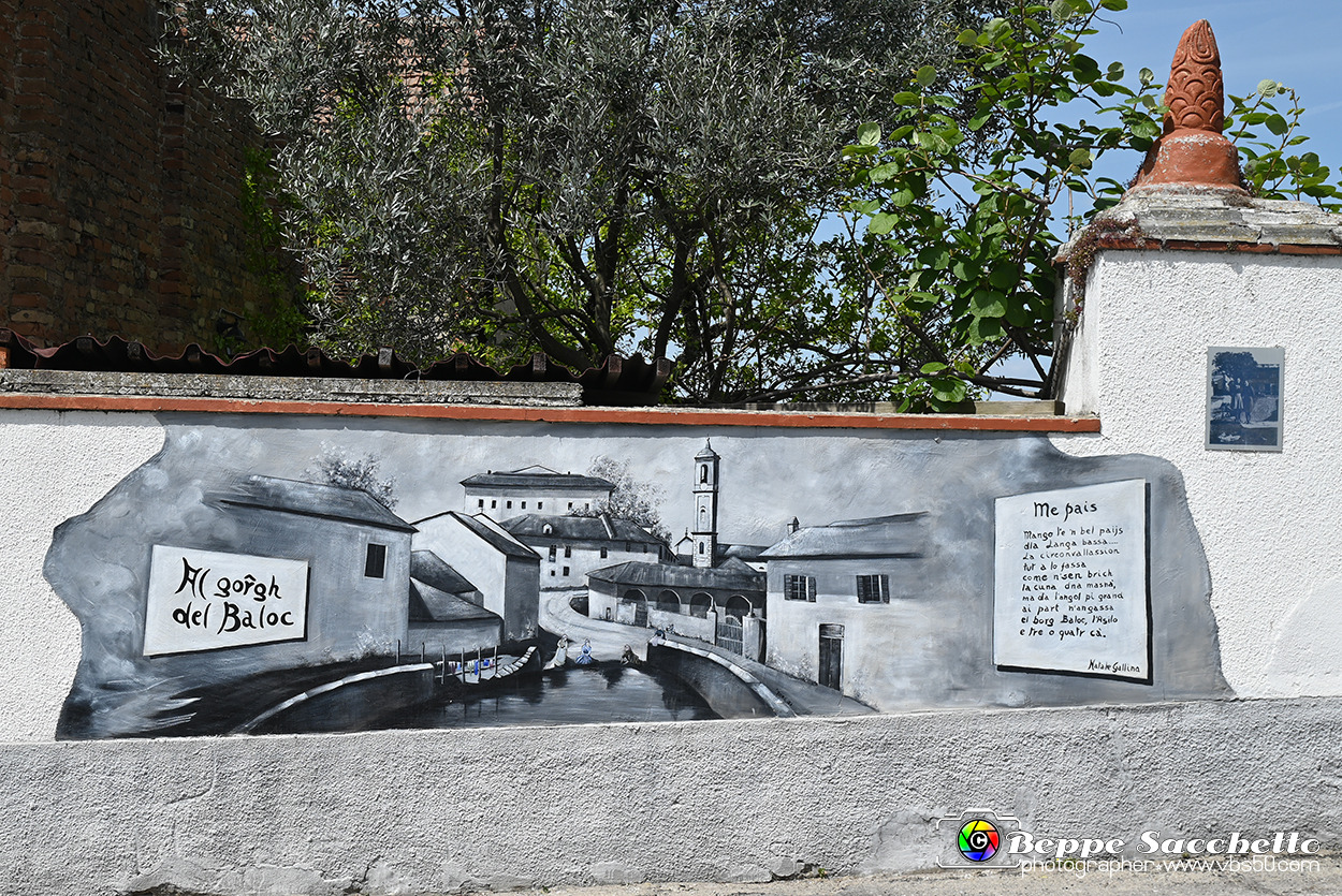 VBS_3028 - Mango (Cuneo) - Gnomovia.jpg